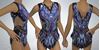 Picture of Leotard with Skirt, LS2502