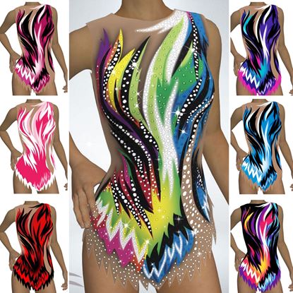 Picture of Leotard with Skirt, LS2011