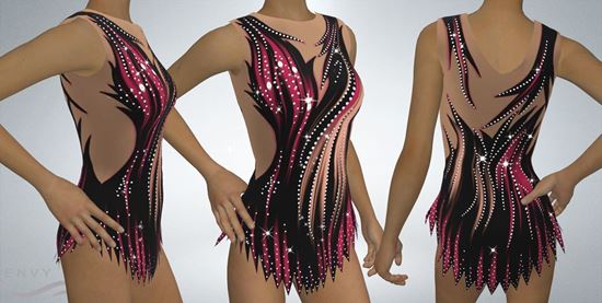 Picture of Leotard with Skirt, LS2504