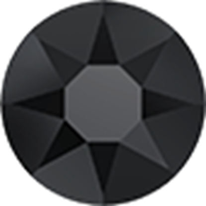 Picture of Shiny Black