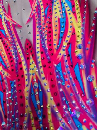Picture of Solar Flare Leotard